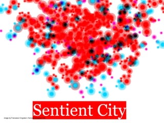 Sentient City
image by Francesco Cingolani | francescocingolani.info
 