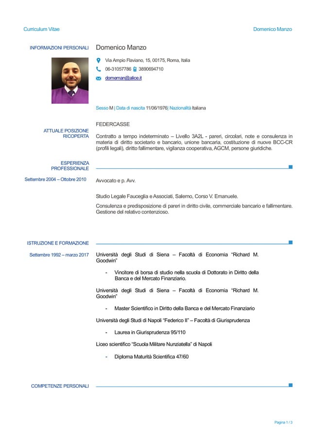 Domenico manzo cv 2017 | PDF