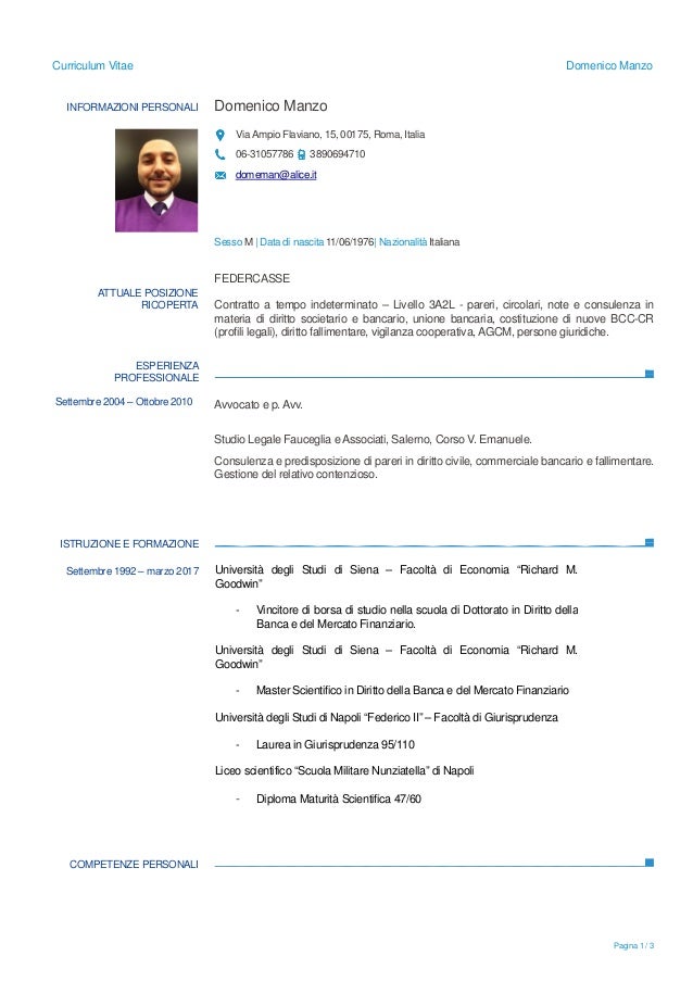 Domenico Manzo Cv 2017