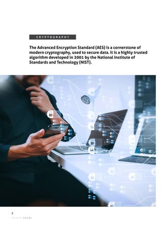 What Is the Advanced Encryption Standard? | PDF