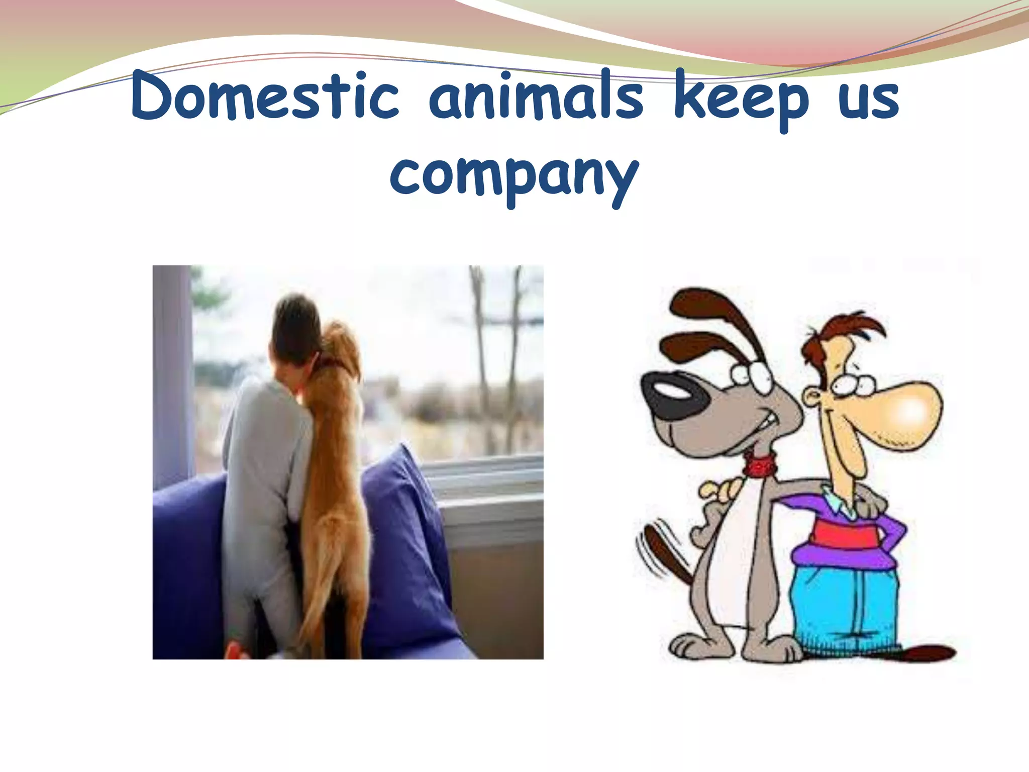Domestic animals keep us
company