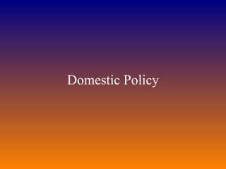 Domestic Policy 