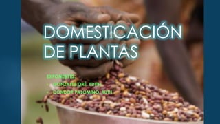 DOMESTICACIÓN DE
PLANTAS
EXPONENTES:
 GONZALES ORÉ, EDITH.
 CÓNDOR PALOMINO, RUTH.
 
