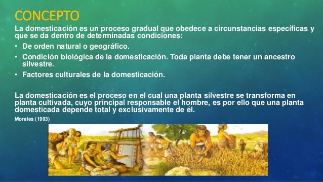Domesticación de plantas