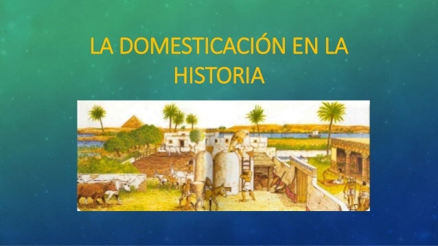 Domesticación de plantas