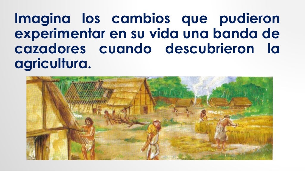 Domesticación de plantas y animales