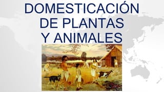 DOMESTICACIÓN
DE PLANTAS
Y ANIMALES
 