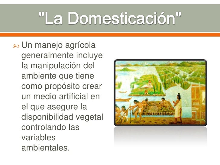 Domesticación de plantas y origen de la agricultura.