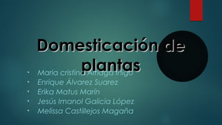 Domesticación deDomesticación de
plantasplantas• Maria cristina Arriaga Iñigo
• Enrique Álvarez Suarez
• Erika Matus Marín
• Jesús Imanol Galicia López
• Melissa Castillejos Magaña
 