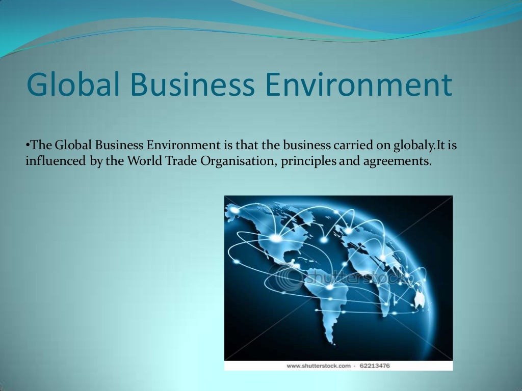 Domestic and global business environment