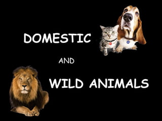 ANDAND
WILD ANIMALSWILD ANIMALS
DOMESTICDOMESTIC
 