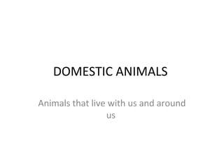 DOMESTIC ANIMALS
Animals that live with us and around
us
 