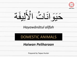 ‫ة‬َ‫ف‬‫ي‬ِ‫ل‬َ ‫أ‬
‫اْل‬ ُ‫ات‬َ‫ن‬‫ا‬ َ
‫و‬َ‫ي‬َ‫ح‬
Hayawānātul alīfah
DOMESTIC ANIMALS
Haiwan Peliharaan
Prepared by Taqwa Hunter
 