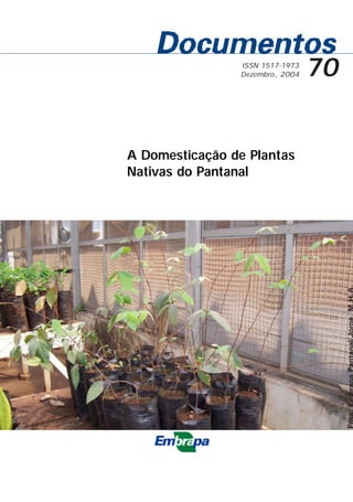 ISSN 1517-1973
                Dezembro , 2004   70


A Domesticação de Plantas
Nativas do Pantanal
 