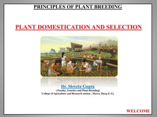 PRINCIPLES OF PLANT BREEDING
PLANT DOMESTICATION AND SELECTION
Dr. Shweta Gupta
( Faculty, Genetics and Plant Breeding)
College of Agriculture and Research station , Marra, Durg (C.G)
WELCOME
 