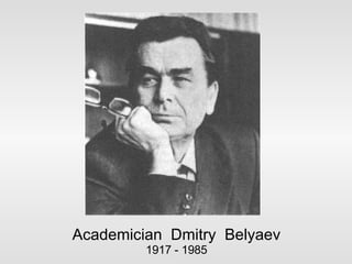 Academician  Dmitry  Belyaev 1917 - 1985 
