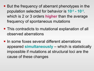 But  the frequency of   aberrant phenotypes in the population selected for behavior is  10 -2  - 10 - 3 .  which  is 2 or 3 orders   higher   than the  average  frequency of spontaneous mutations This  contradicts to  mutational  explanation of all   observed  aberrations  I n some  foxe s several different aberrations appear ed  simultaneously   – which is  statistically imp ossib le   if mutations at structural loci are the cause of these  change s 