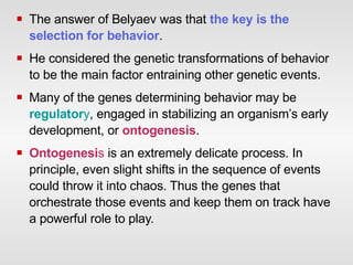 The answer of Belyaev was that  the   key is   the   selection for behavior .  He considered the genetic transformations of behavior to be the main factor entraining other genetic events.  Many of the genes determining behavior may be  regulator y , engaged in stabilizing an organism’s early development, or  ontogenesis .  Ontogenesi s  is an extremely delicate process. In principle, even slight shifts in the sequence of events could throw it into chaos. Thus the genes that orchestrate those events and keep them on track have a powerful role to play.  