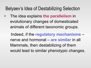 The idea explains  the parallelism  in evolutionary changes of domesticated animals of different taxonomic groups. Indeed, if the  regulatory mechanisms  – nerve and hormonal –  are similar  in all Mammals, then destabilizing of them would lead to similar phenotypic changes. Belyaev’s Idea of Destabilizing Selection 