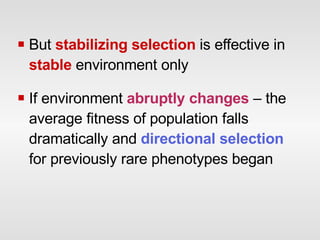 But  stabilizing selection  is effective in  stable  environment only If environment  abruptly changes  – the average fitness of population falls dramatically and  directional selection  for previously rare phenotypes began 