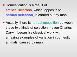 Domestication is a result of artificial selection , which, opposite to natural selection , is carried out by man.  Actually, there is  no real opposition  between these two kinds of selection – even Charles Darwin began his classical work with amazing examples of variation in domestic animals, caused by man .  
