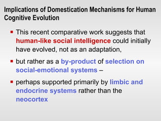 Implications  of Domestication Mechanisms  for  H uman  C ognitive  E volution This recent comparative work suggests that  human-like   social intelligence  could initially have evolved, not as an   adaptation,  but rather as a  by-product  of  selection on   social-emotional systems  –  perhaps   supported primarily by  limbic and endocrine systems   rather than the  neocortex 