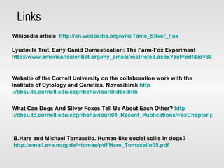 Links Wikipedia article  http ://en.wikipedia.org/wiki/Tame_Silver_Fox   Lyudmila Trut. Early Canid Domestication: The Farm-Fox Experiment  http://www.americanscientist.org/my_amsci/restricted.aspx?act=pdf&id=3038739723681   Website of the Cornell University on the collaboration work with the Institute of Cytology and Genetics, Novosibirsk  http ://cbsu.tc.cornell.edu/ccgr/behaviour/Index.htm   What Can Dogs And Silver Foxes Tell Us About Each Other?  http ://cbsu.tc.cornell.edu/ccgr/behaviour/04_Recent_Publications/FoxChapter.pdf   B.Hare and Michael Tomasello. Human-like social scills in dogs?  http://email.eva.mpg.de/~tomas/pdf/Hare_Tomasello05.pdf   