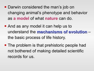 Darwin considered the man’s job on changing animal’s phenotype and behavior as  a model  of what  nature  can do.  And as any model it can help us to understand the   mechanisms of evolution  – the basic process of life history. The problem is that prehistoric people had not bothered of making detailed scientific records for us.  