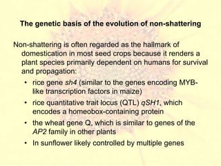 Domestication as a method of plant breeding | PPT