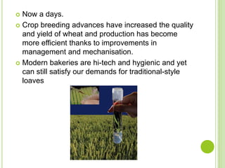  Now a days.
 Crop breeding advances have increased the quality
and yield of wheat and production has become
more efficient thanks to improvements in
management and mechanisation.
 Modern bakeries are hi-tech and hygienic and yet
can still satisfy our demands for traditional-style
loaves
 