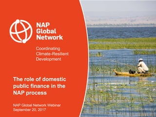 Coordinating
Climate-Resilient
Development
The role of domestic
public finance in the
NAP process
NAP Global Network Webin...