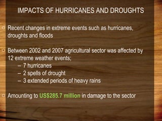 Domestic food production and hazard vulnerability jamaica