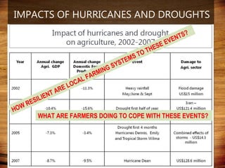 Domestic food production and hazard vulnerability jamaica