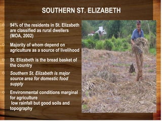 Domestic food production and hazard vulnerability jamaica