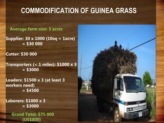 Domestic food production and hazard vulnerability jamaica