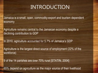 Domestic food production and hazard vulnerability jamaica