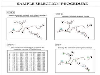 Domestic food production and hazard vulnerability jamaica