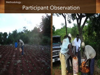 Domestic food production and hazard vulnerability jamaica