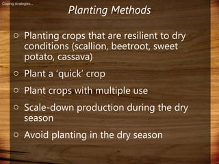 Domestic food production and hazard vulnerability jamaica