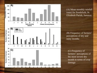 Domestic food production and hazard vulnerability jamaica