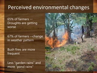 Domestic food production and hazard vulnerability jamaica