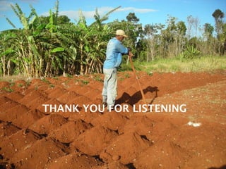 Domestic food production and hazard vulnerability jamaica