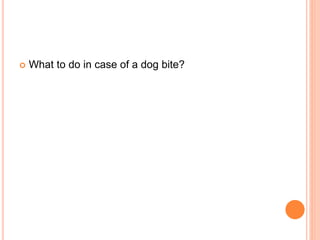  What to do in case of a dog bite?
 