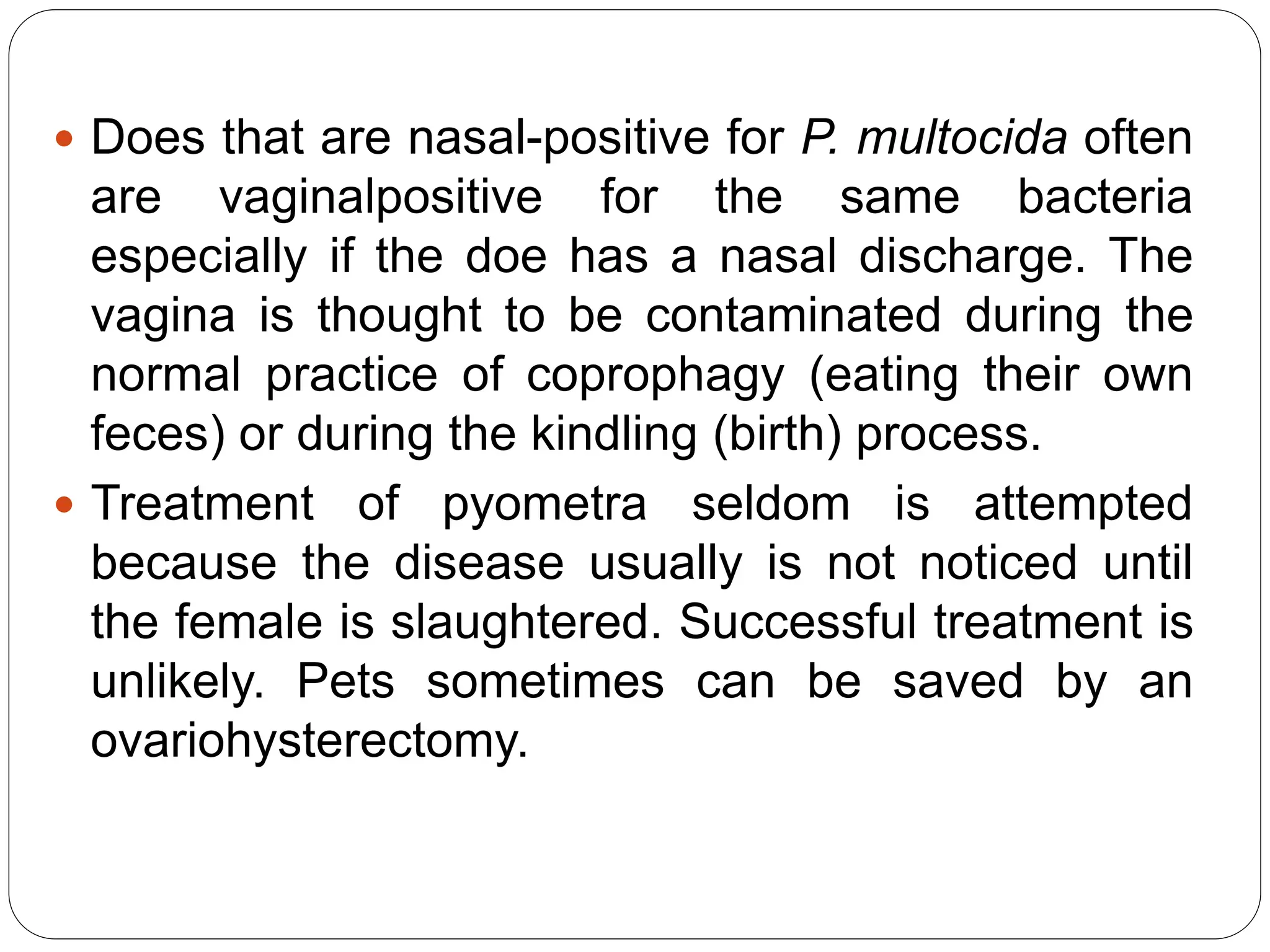 Pasteurellosis In Rabbits Domestic Rabbits Pasteurellosis.pptx