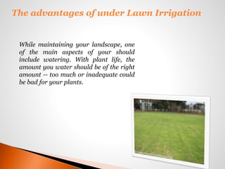 The advantages of under Lawn Irrigation
While maintaining your landscape, one
of the main aspects of your should
include watering. With plant life, the
amount you water should be of the right
amount -- too much or inadequate could
be bad for your plants.