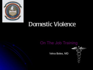Domestic Violence

    On The Job Training

        Velva Boles, MD
 