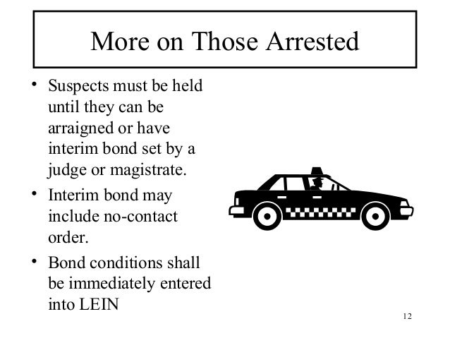 Michigan Law Domestic Violence PPO