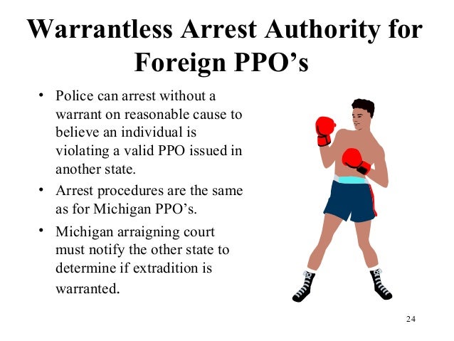 Michigan Law Domestic Violence PPO
