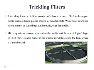 Stone Biofilter Domestic waste water treatment processes in India | PPTX