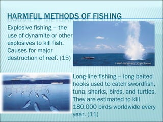 Explosive fishing – the use of dynamite or other explosives to kill fish.  Causes for major destruction of reef. (15) Long...
